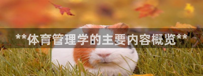 必一体育下载：**体