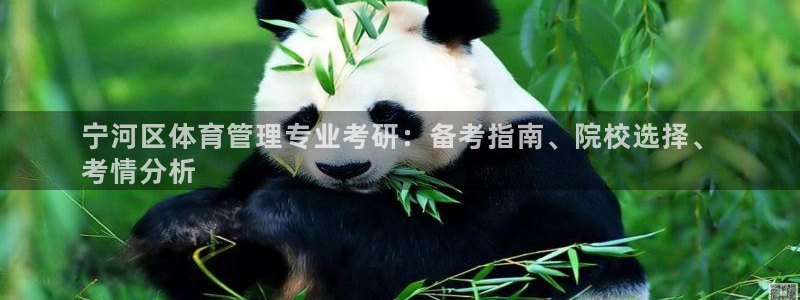 必一体育全站在线登录
