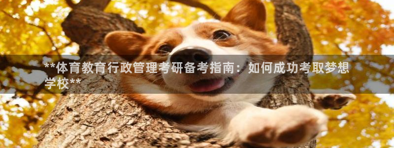 必一体育是啥：**体