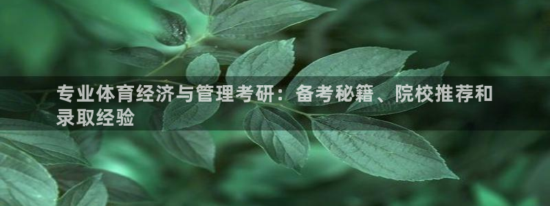 必一体育没了：专业体