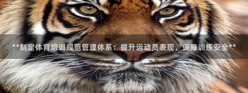 必一体育下载app下