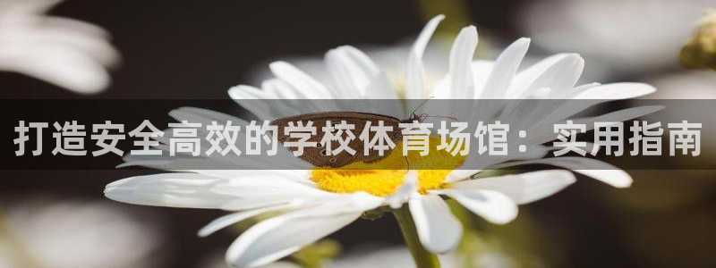 必一体育登入：打造安