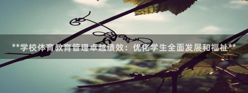 必一体育APP下载安