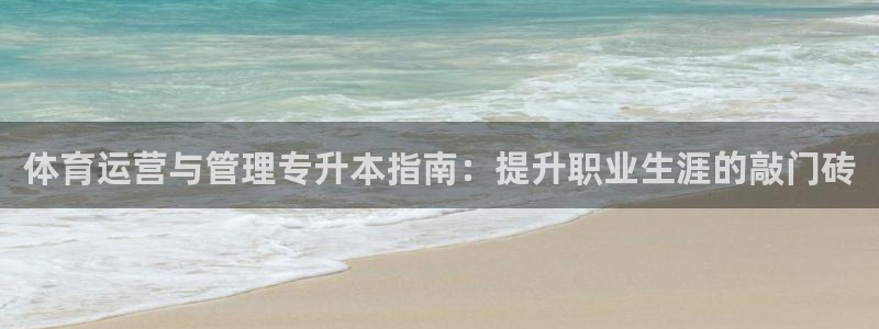 必一体育电子app：