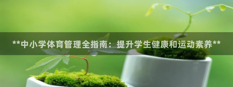 必一体育合法吗：**