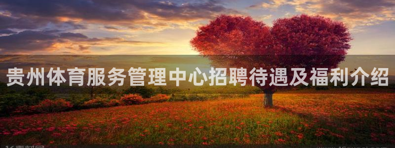 必一运动体育官网下载