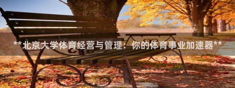 必一体育官网网址：*