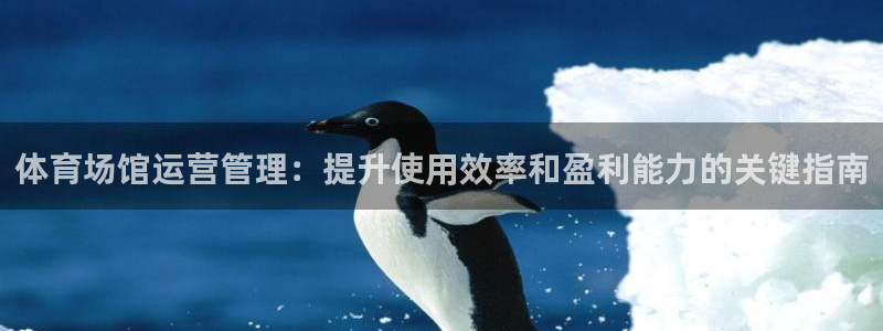 氵必一一厂一：体育场