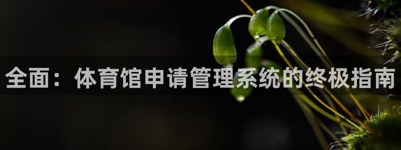 必十二和必一的副作用