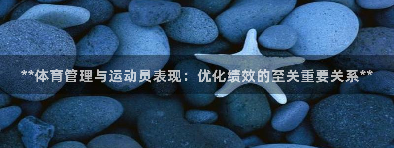 必一体育登录APP下