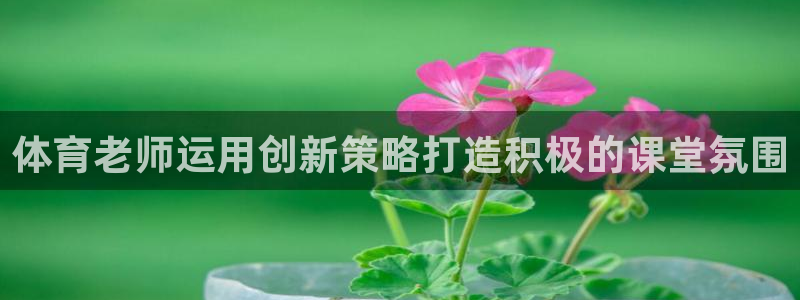 必一体育登录入口AP