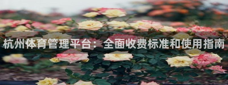 必一体育运动app下