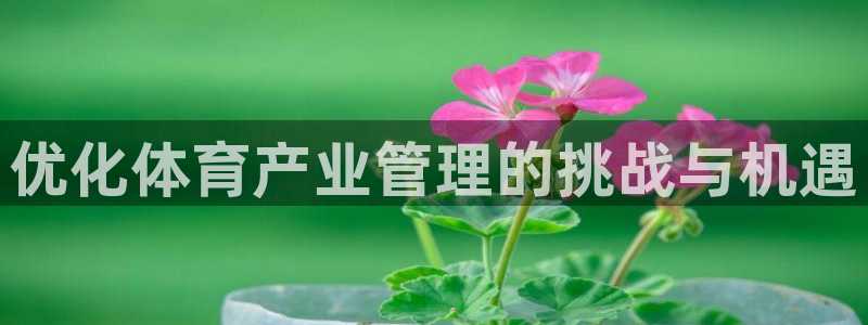 必一体育黑钱：优化体
