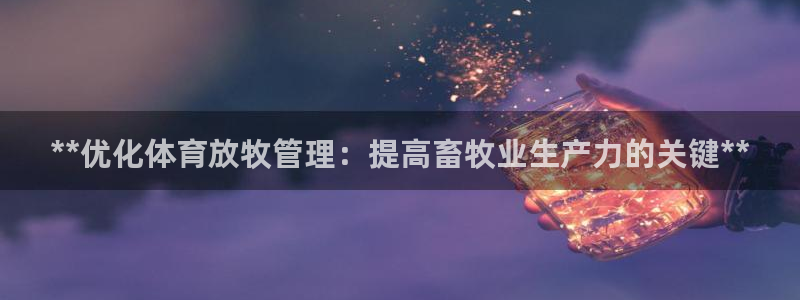 必一体育登录APP下