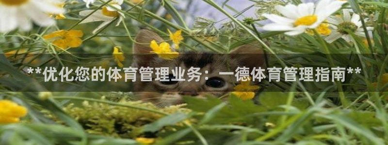 必一体育app官方网