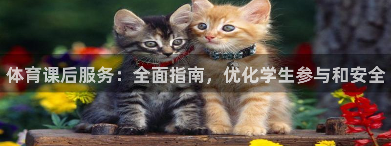 必一体育sportB