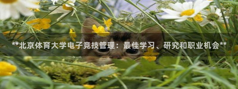 必一体育周公：**北