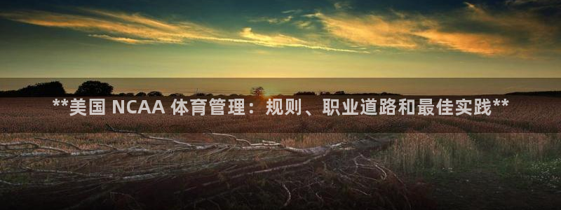 必一体育游戏玩法：*