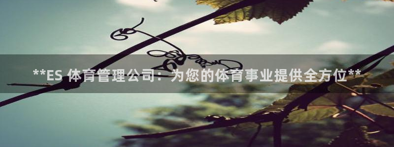 必一体育电子app：