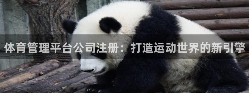 必十二和必一的副作用