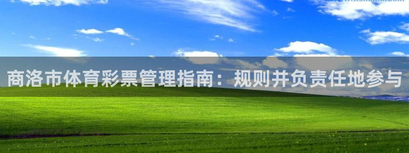 必一体育：商洛市体育