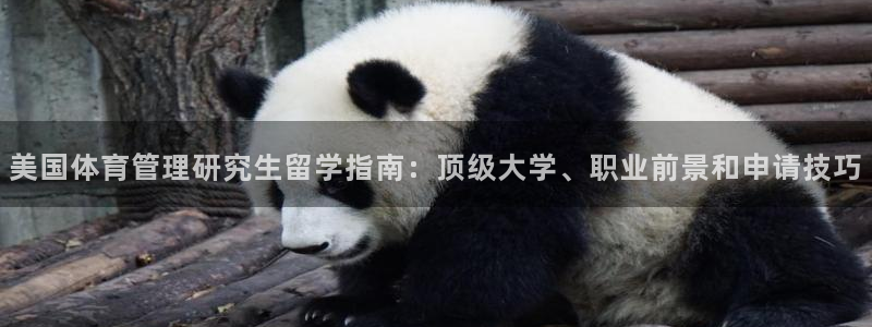 必一体育运动app下