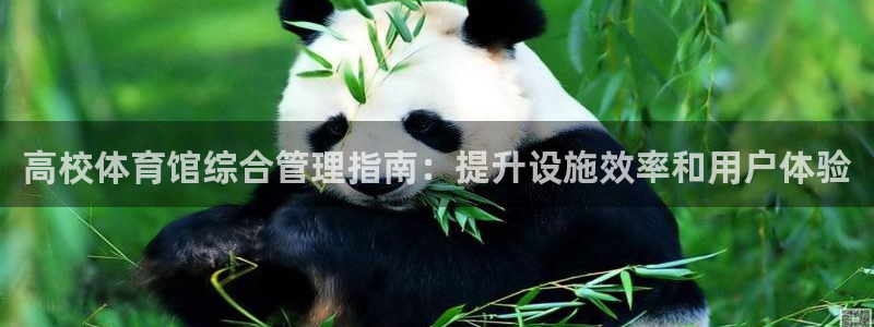 必一体育官方网站入口