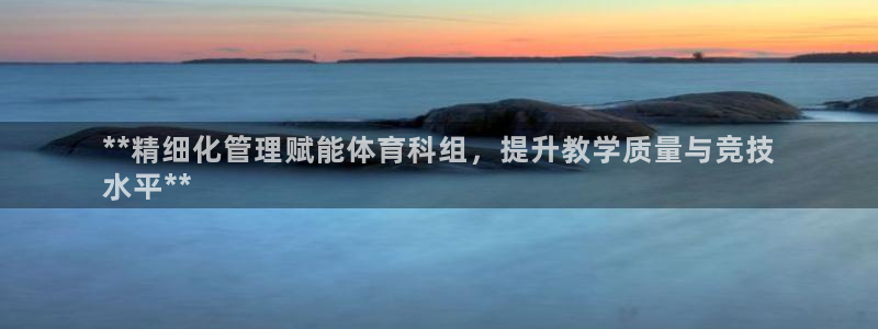 必一运动 b 体育素