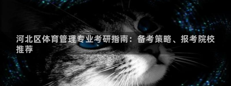 必一体育官方app下