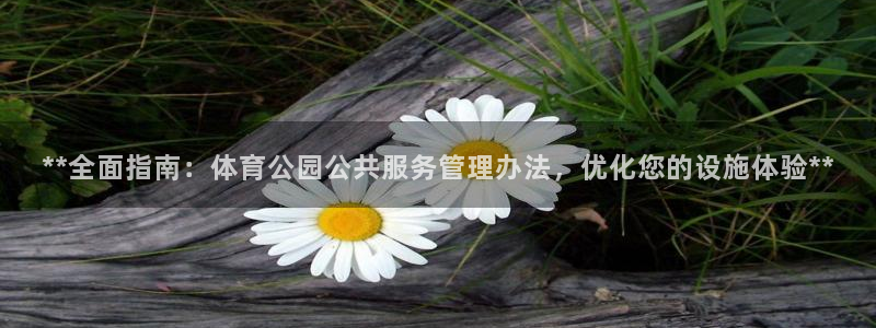 必一体育官方网站入口