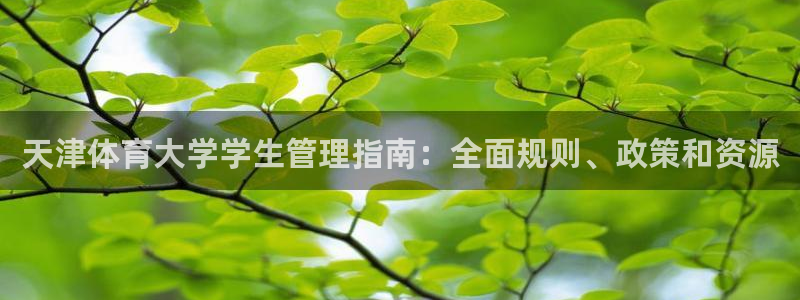 必一运动验证码：天津