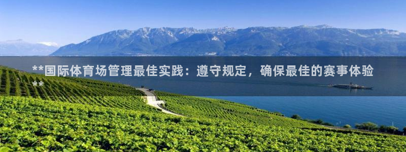 必一体育官方网站入口