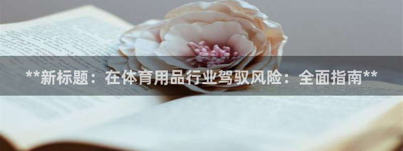 必一体育sportB