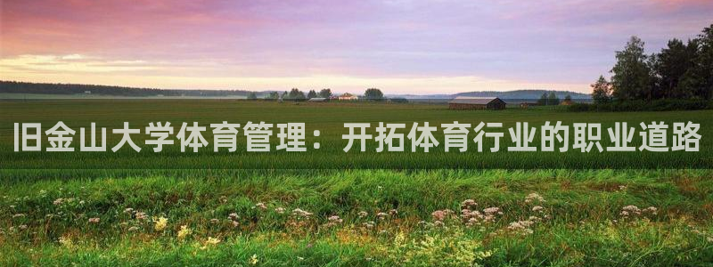 必一体育游戏特色：旧