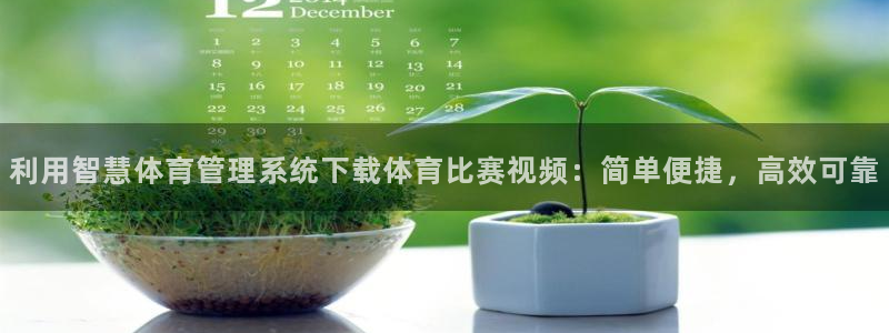 必一体育sport网