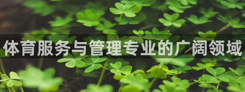 b体育官网下载入口a