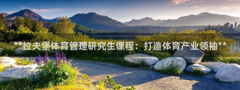 必一体育下载意思：*