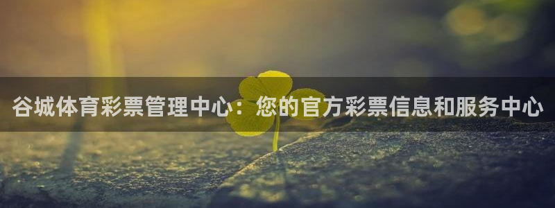 必一体育是哪里的台子