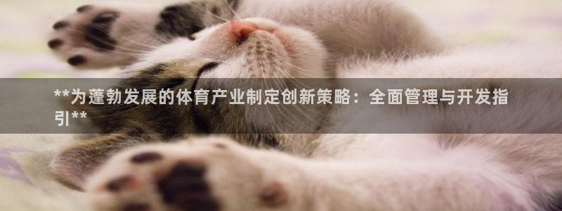 必一体育sport：