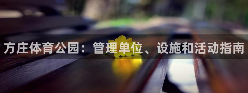 必一体育下载移动版：