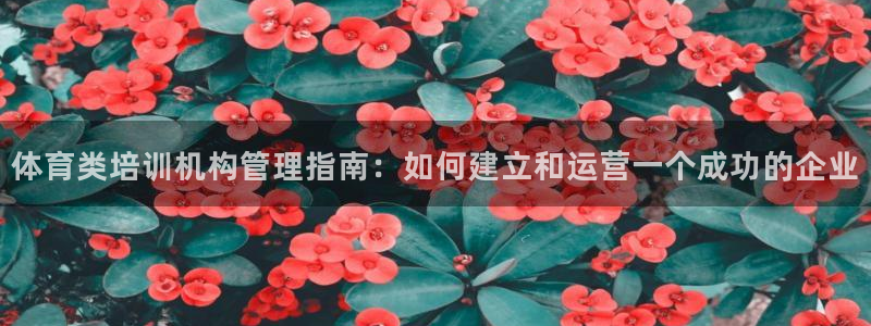 b体育必一下载：体育