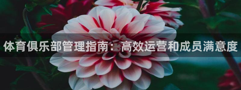必一体育sport装