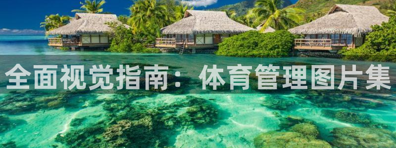 必一体育合法吗：全面