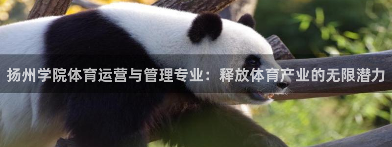 必一体育可靠吗：扬州