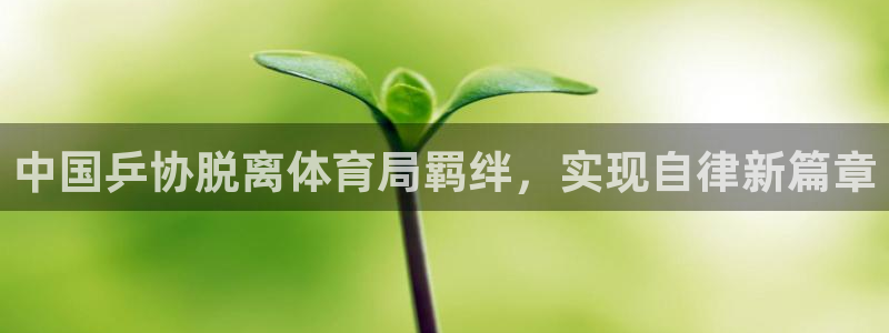 必一体育运动app下