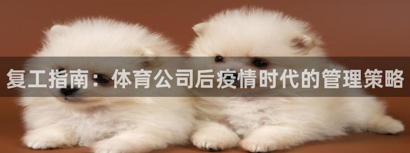 必一体育网站：复工指