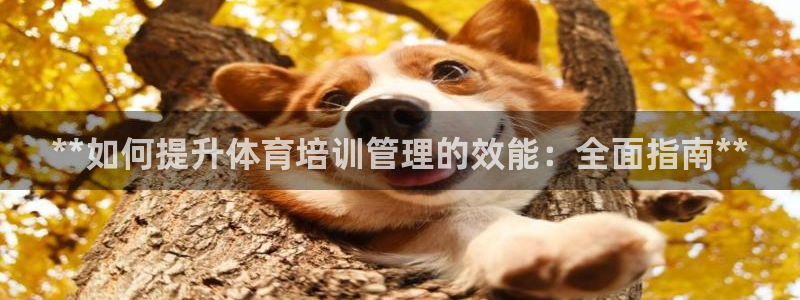 必一体育下载义：**