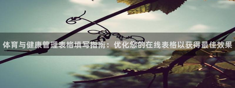 必一体育最新官网入口