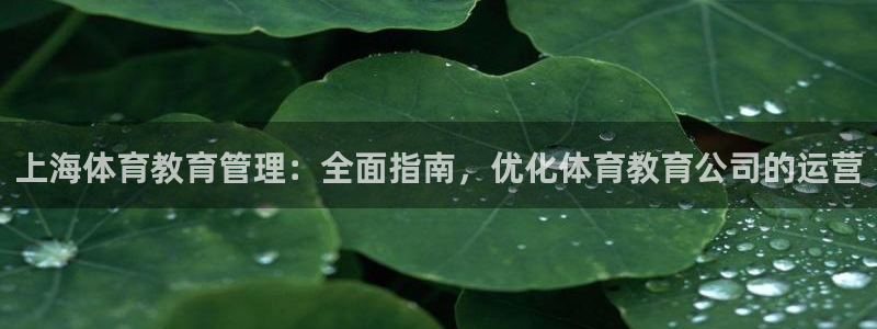 必一体育在线下载：上