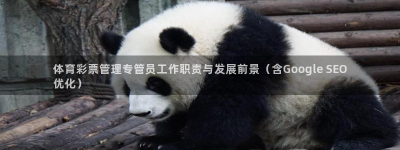 必一体育黑平台：体育